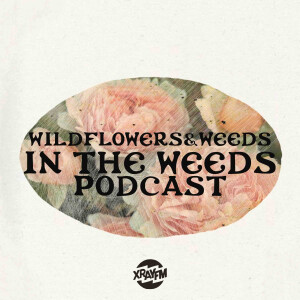Episode 3 Bees in a Bottle