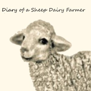 Diary of a Sheep Dairy Farmer