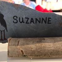suzycotton