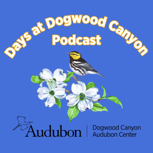 Days at Dogwood Canyon