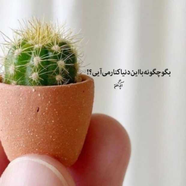 مهدی