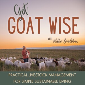 Get Goat Wise | Meat Goats, Dairy Goats, Self-Sufficiency, Sustainable Farm, Homesteading, Off-Grid, Livestock