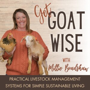 07 | Should My Goats Have Horns or Not? Pros and Cons of Disbudding Goats