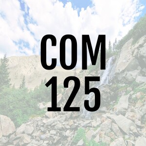 Chapter 7 Supplemental Lecture - Listening Styles