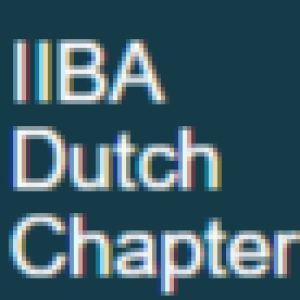 Looking back at the 2023 events and what to expect in 2024 from IIBA Dutch Chapter