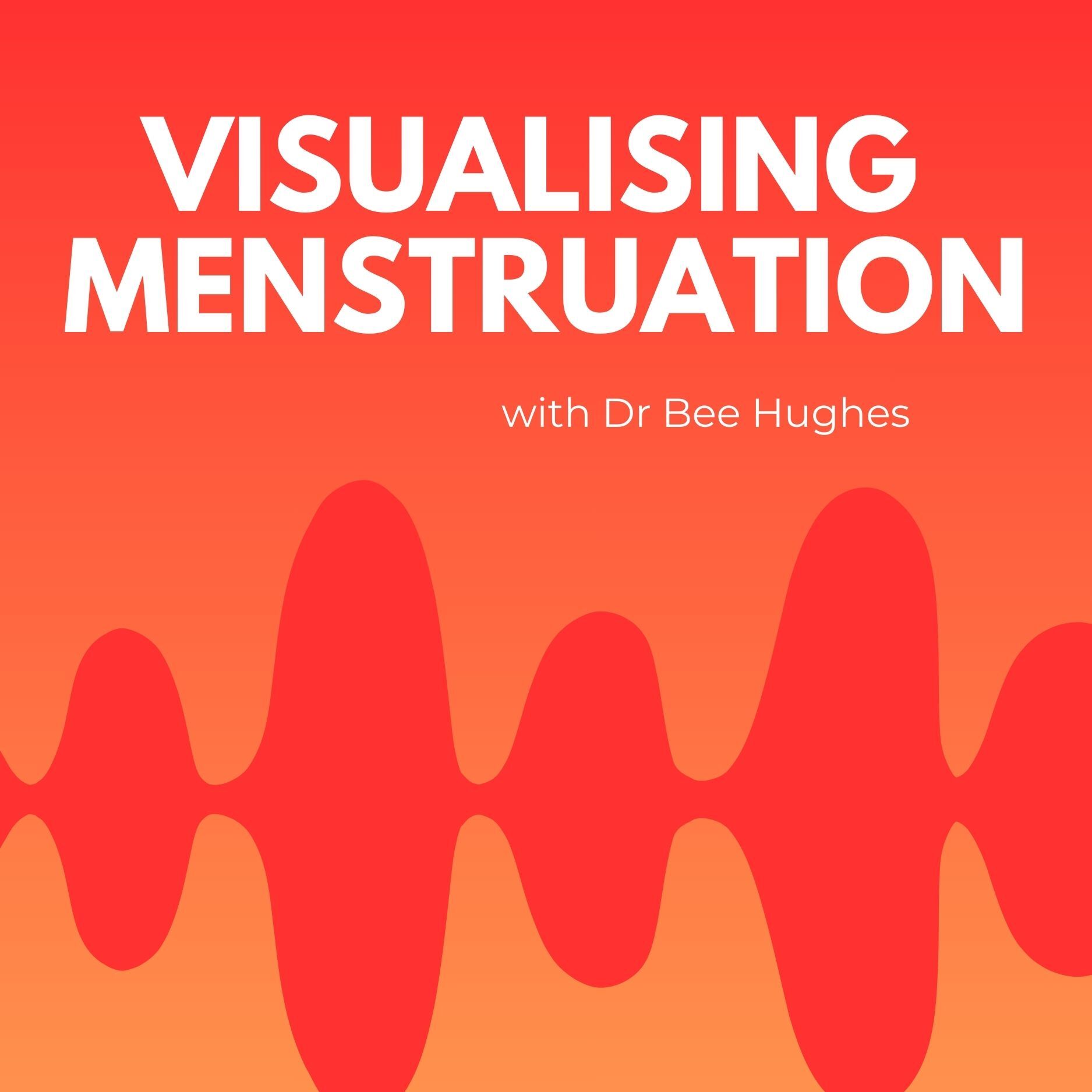 Visualising Menstruation