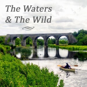 The Well of Wisdom - searching for the source of the River Barrow