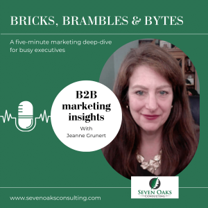 Bricks, Brambles & Bytes: Navigating Technology Marketing