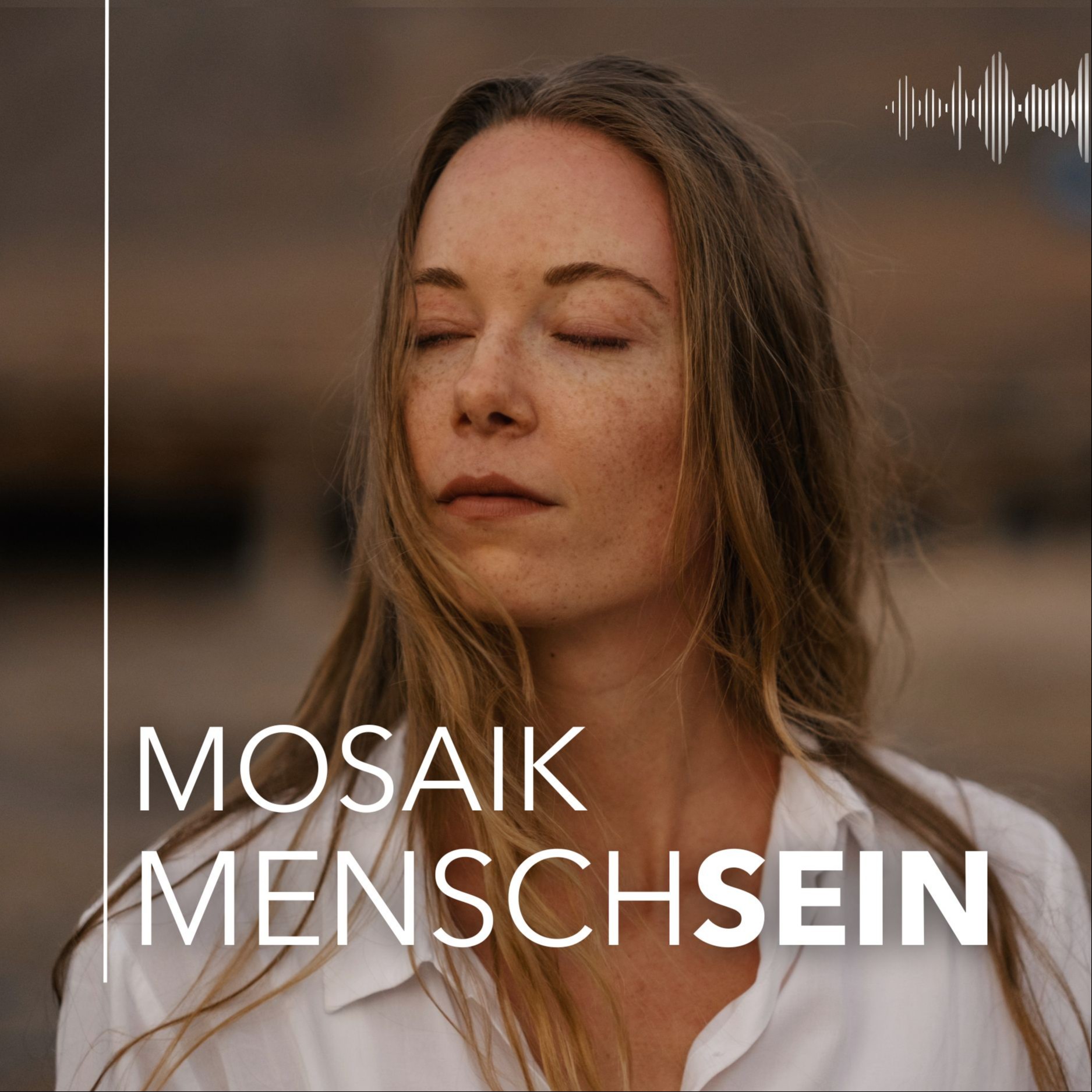 Mosaik Menschsein
