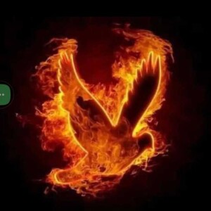 The davidlarbi962’s Podcast