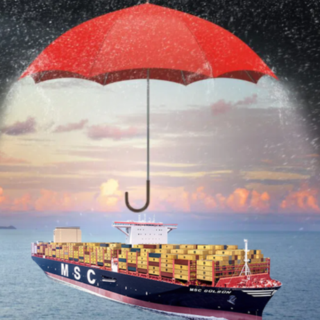 Protect Cargo Container Shipment Using Desiccant Paks