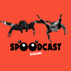 Spoodcast - Jumping Spiders, Tarantulas and Other Cool Bugs