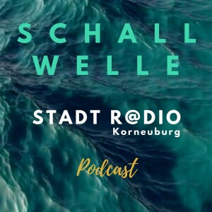 SCHALLWELLE - Talk und Musik