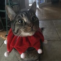 Marie-Ève Larochelle