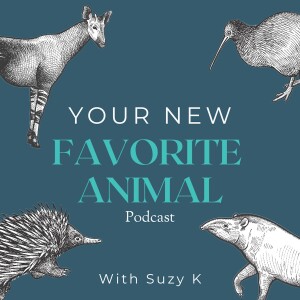 Your New Favorite Animal Podcast