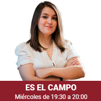 Es el Campo
