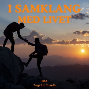 Avsnitt 4. Själen eller bara beteende utan värdering