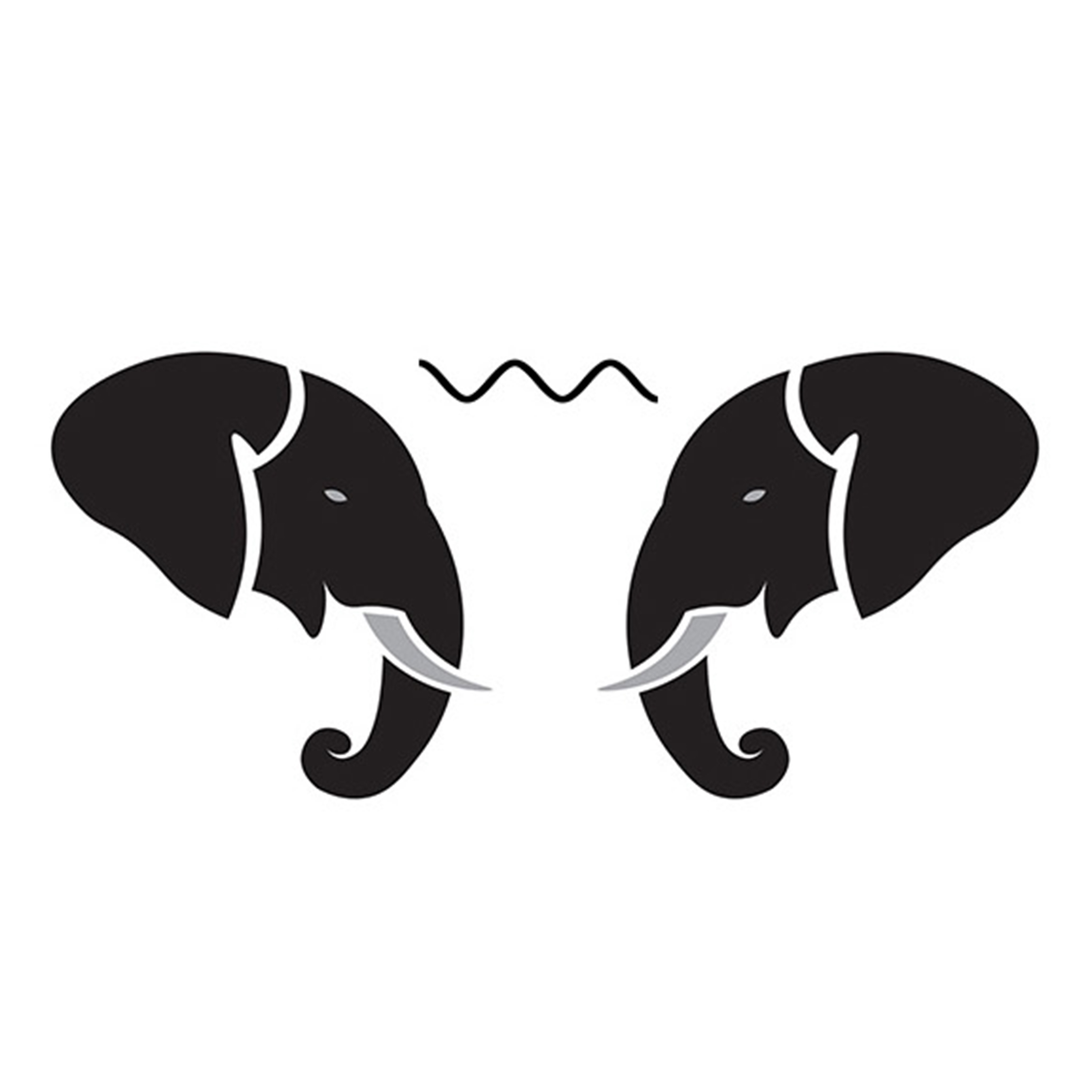 The Psychic Elephant Radio Podcast cover