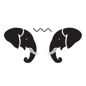 The Psychic Elephant Radio Podcast