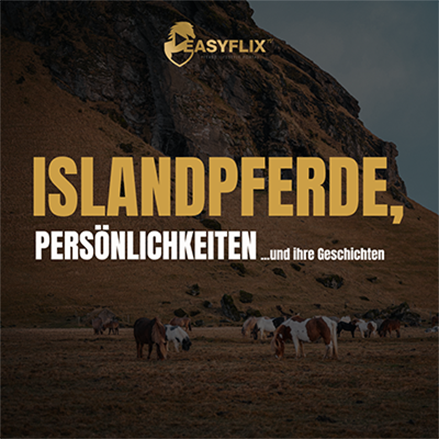 Islandpferde, Persönlichkeiten & ihre Geschichten | Der Easyflix Islandpferde Podcast