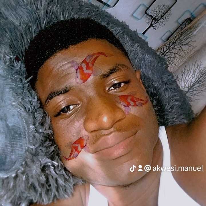 Akwesi Manuel