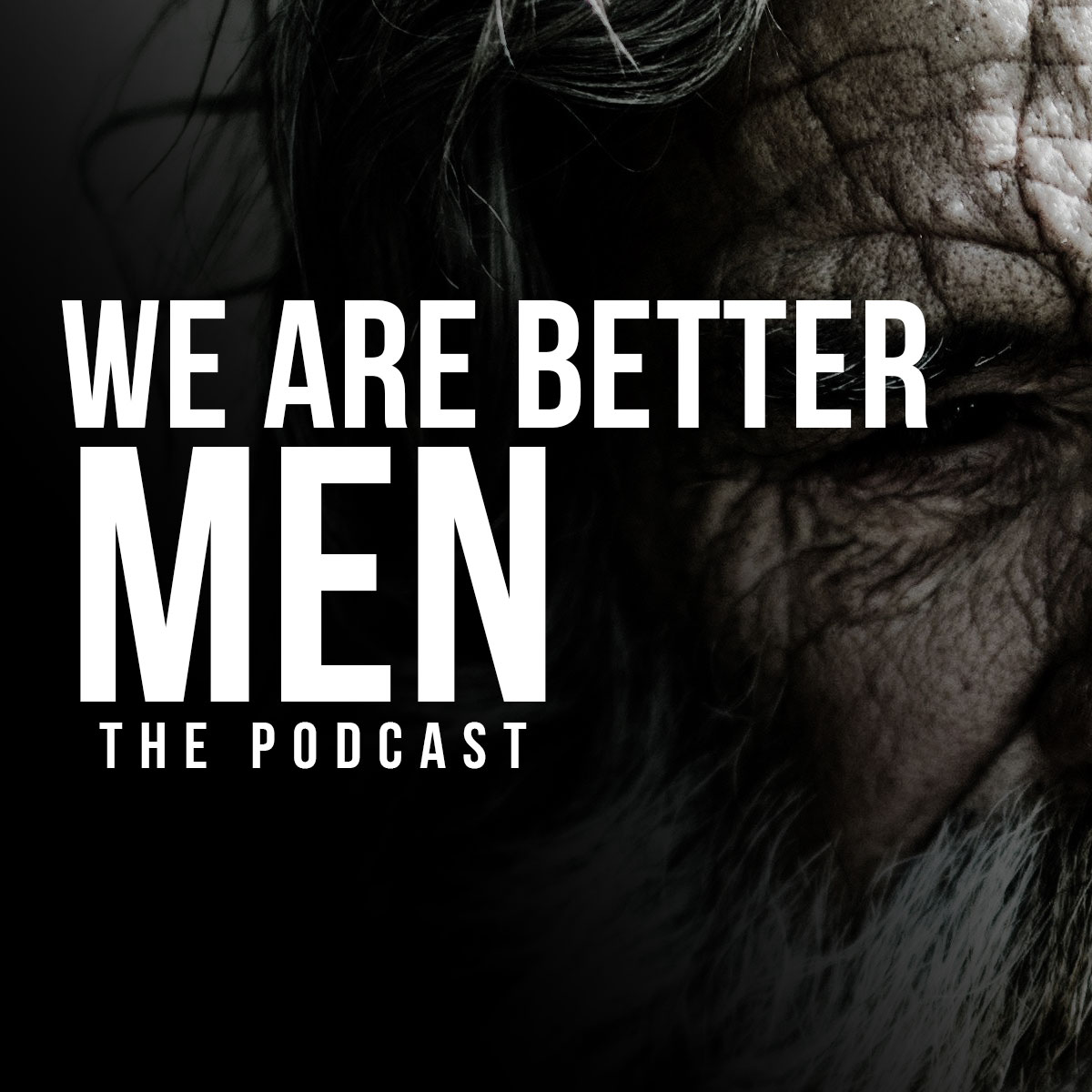 We Are Better Men Podcast