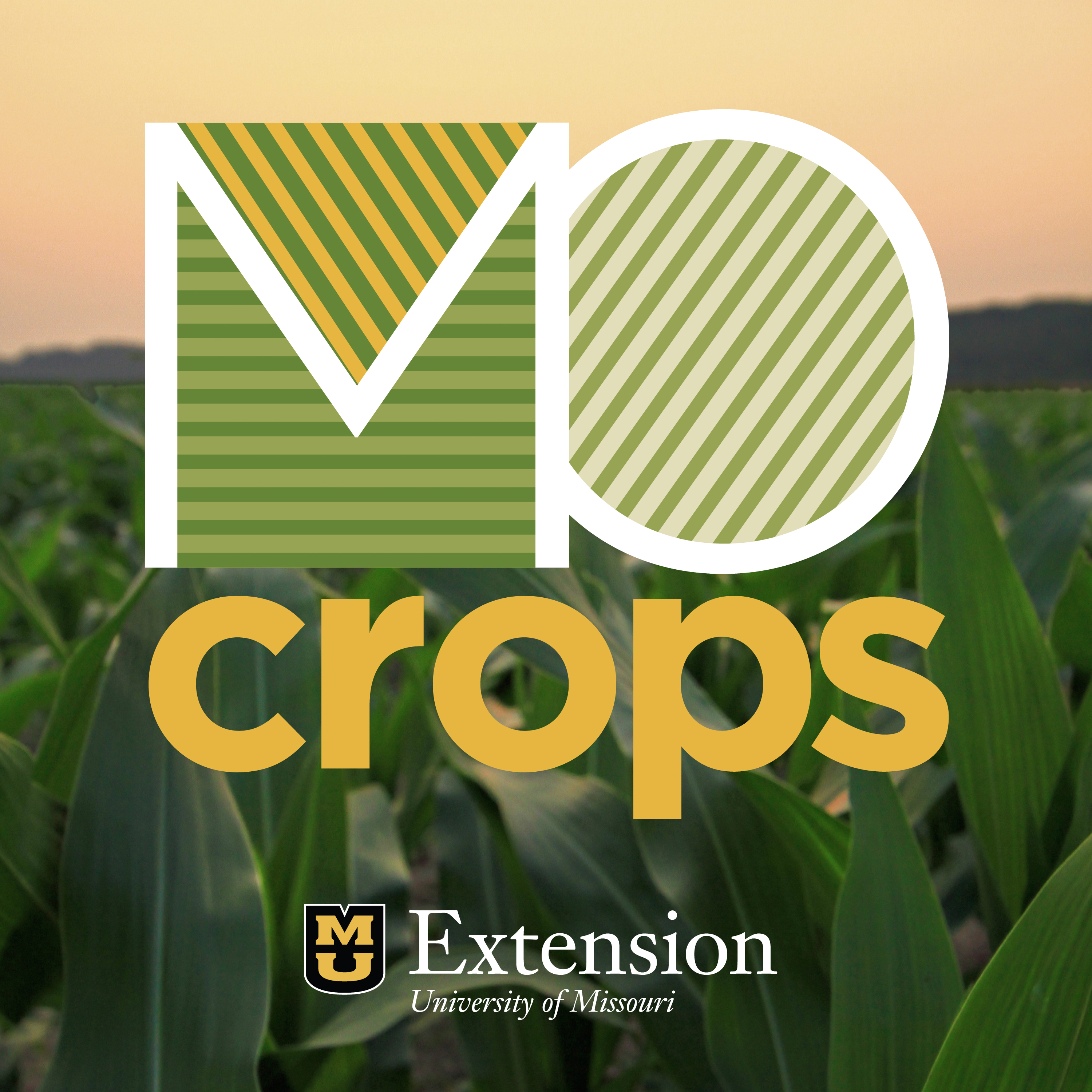 MO Crops Podcast