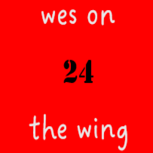 Wes on the Wing