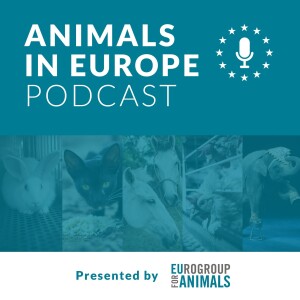 Highlights for animals in 2021, with MEP Anja Hazekamp