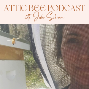 Attic Bee Trailer