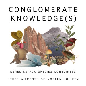 Welcome To Conglomerate Knowledge(s) - Remedies For Species Loneliness