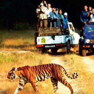 Jim Corbett: Slayer of Deadly Predators.