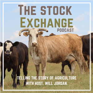 #000 - Welcome to The Stock Exchange Podcast