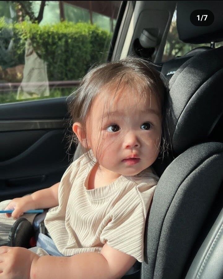 แมวน้อย