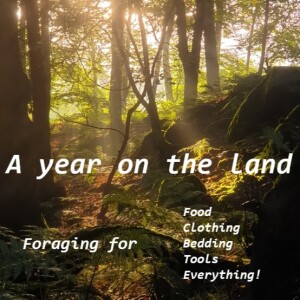 A year living on the land- only foraged food, clothing & equipment