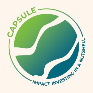 Capsule: Impact Investing in a Nutshell