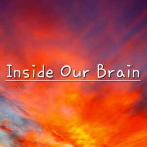 The Inside Our Brain Podcast