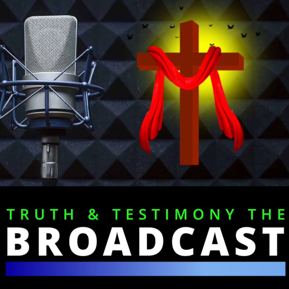 🎙️Truth and Testimony the Broadcast