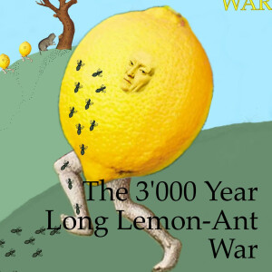 The 3’000 Year Long Lemon Ant War