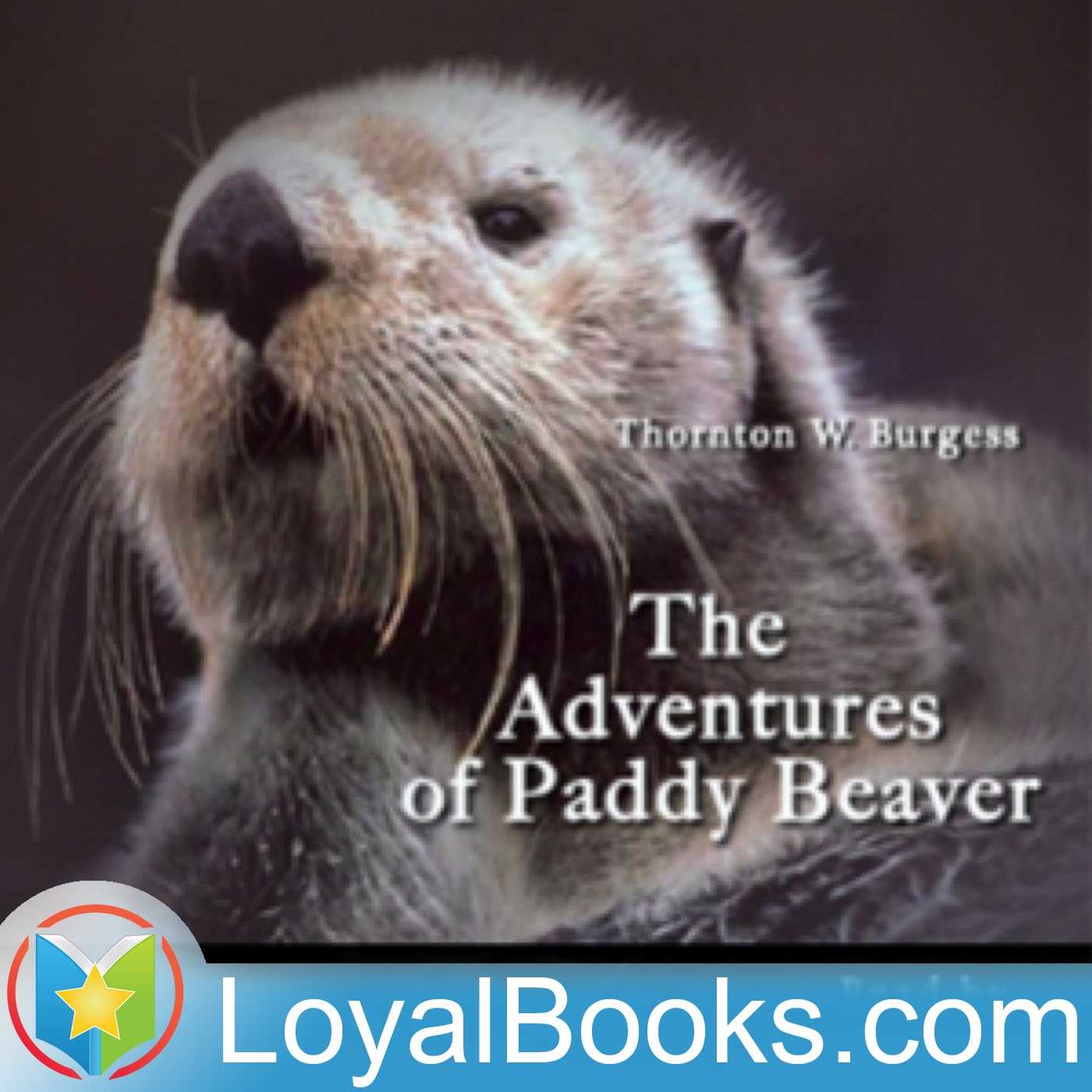 The Adventures of Paddy Beaver by Thornton W. Burgess