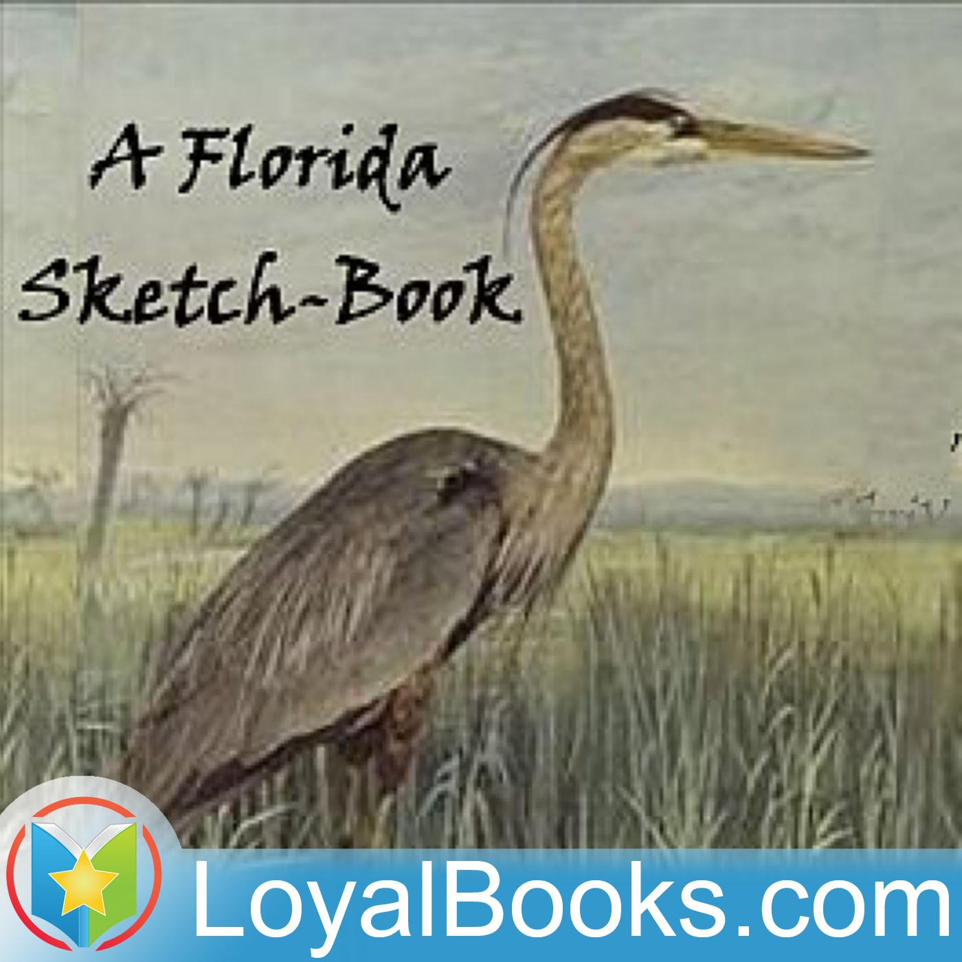 A Florida Sketch-Book by Bradford Torrey