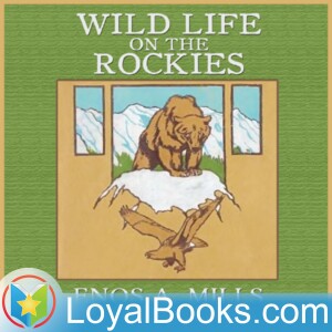 04 – The Wilds without Firearms