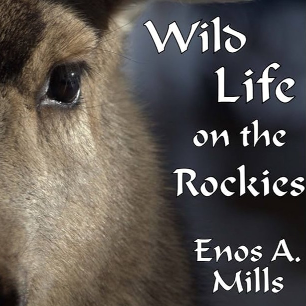 Wild Life on the Rockies by Enos A. Mills