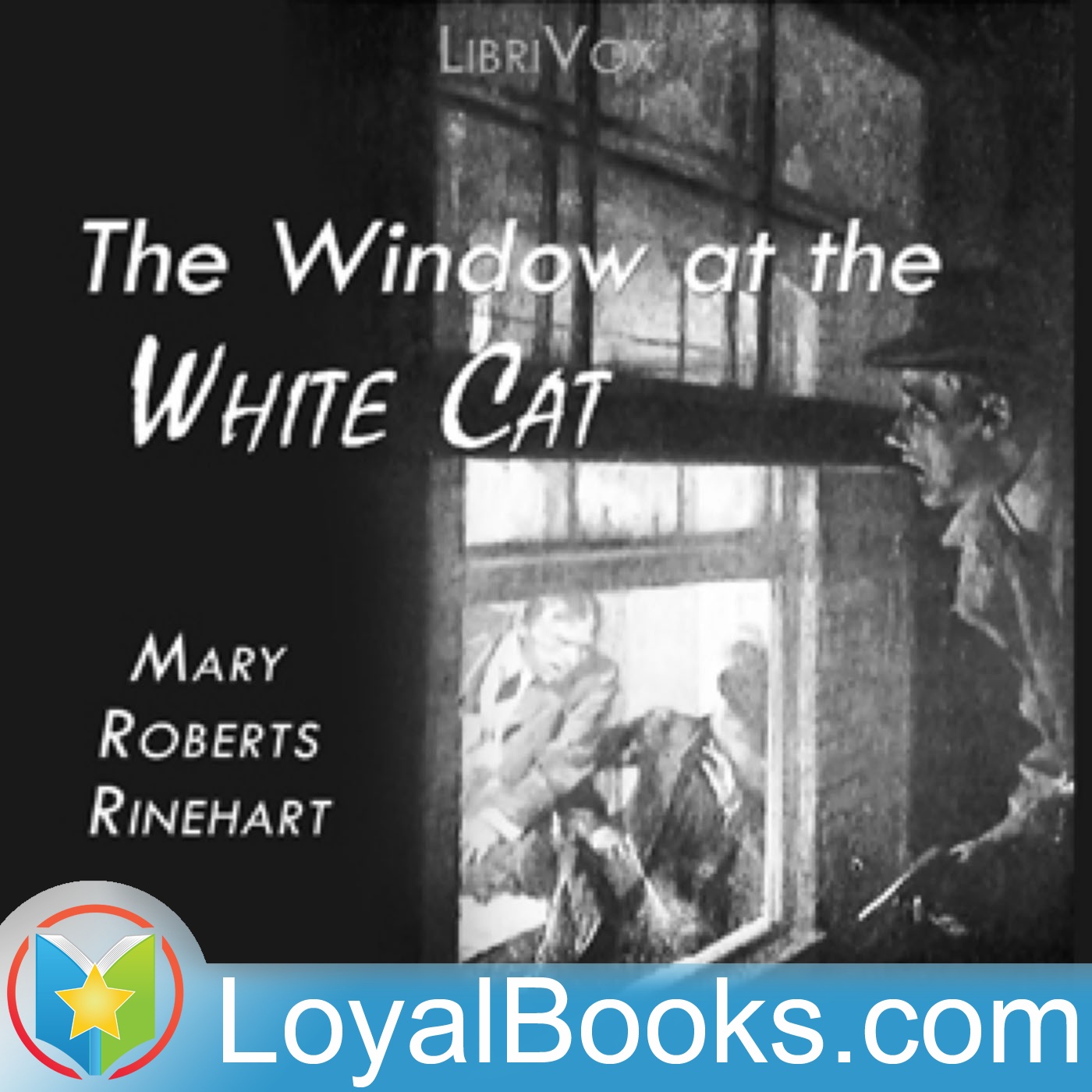 The Window at the White Cat by Mary Roberts Rinehart
