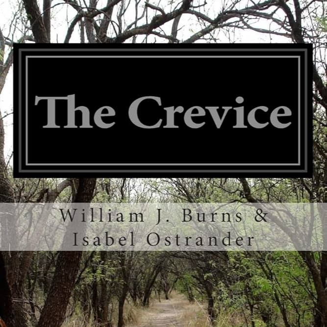 The Crevice by William J. Burns