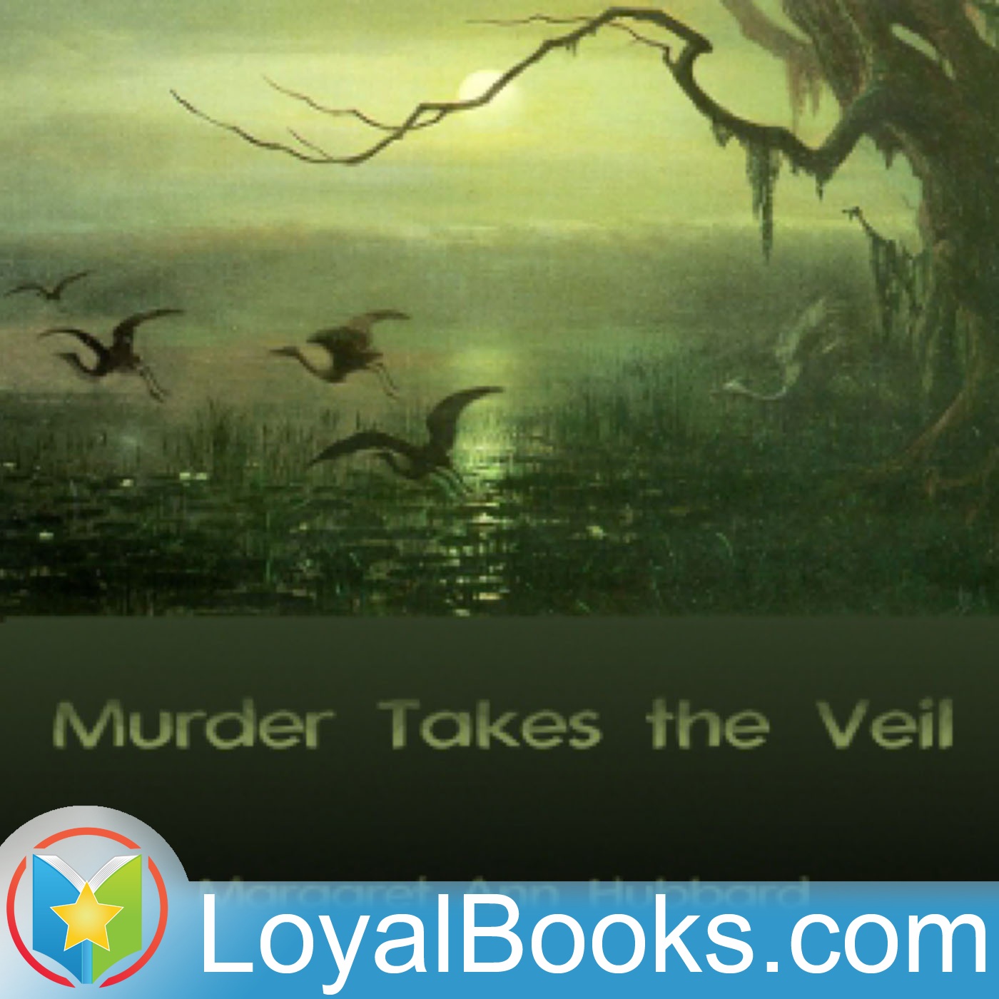 Murder Takes the Veil by Margaret Ann Hubbard