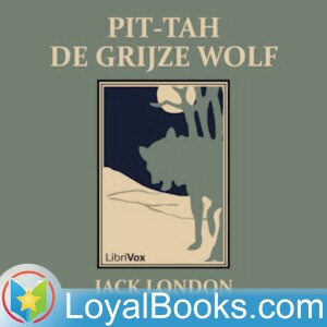 06 Deel 2, hoofdstuk 3: Het grijze wolfje