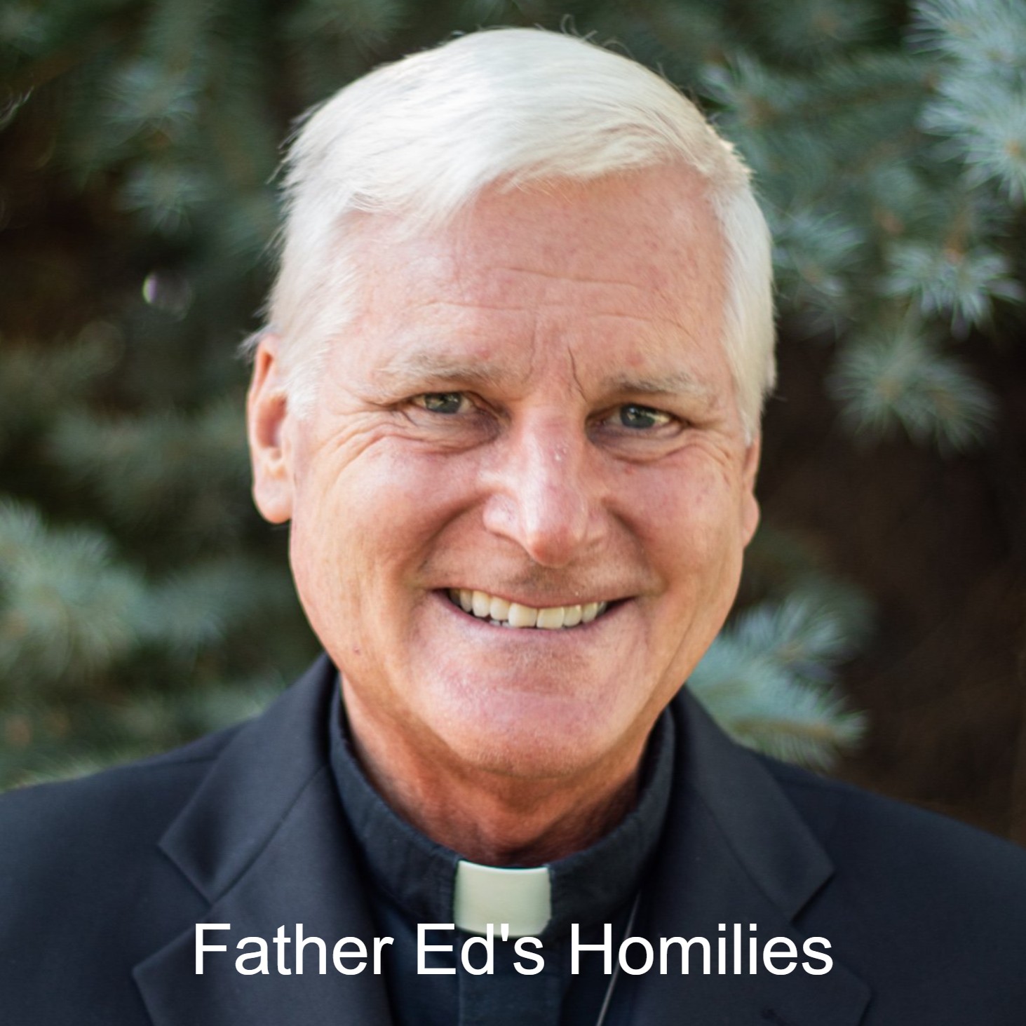 Father Ed Buelt’s Homilies