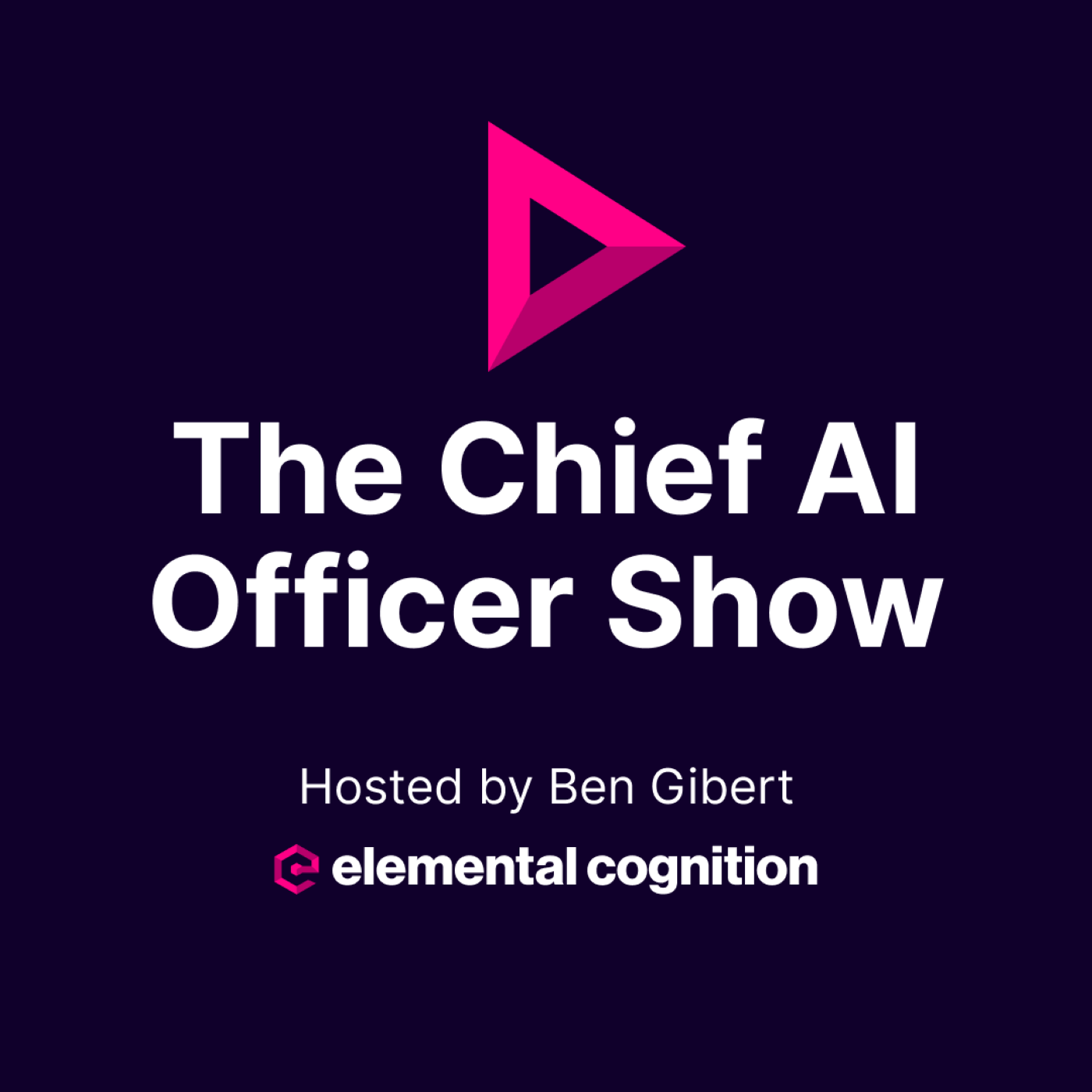 The Chief AI Officer Show