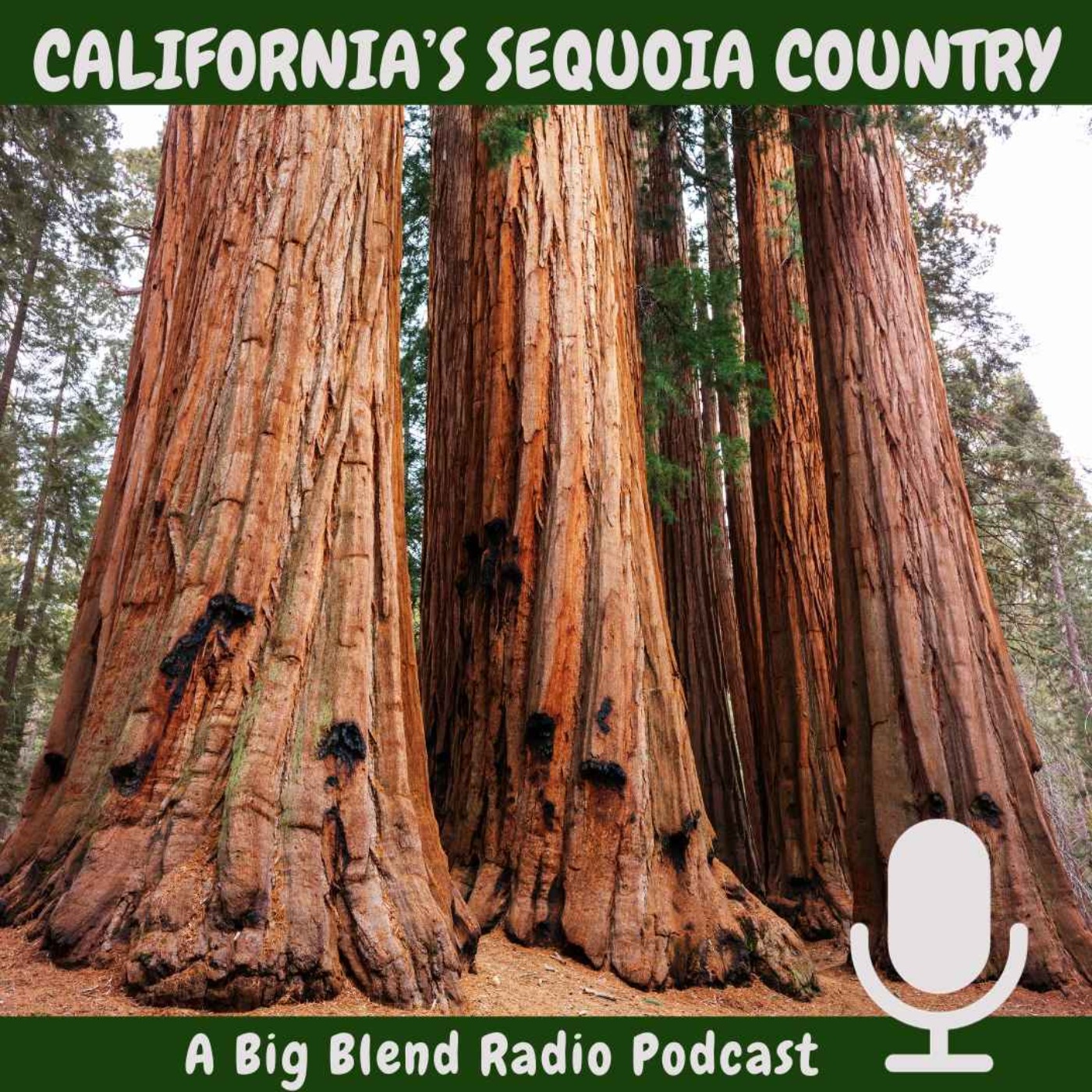 California’s Sequoia Country